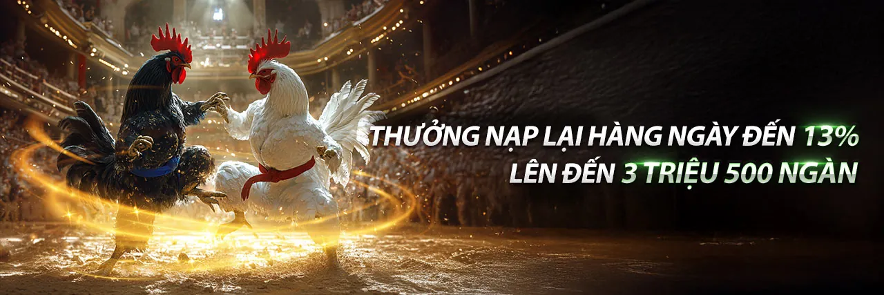 Sân vận động bóng đá với khán giả cuồng nhiệt, logo 55vin casino nổi bật, thể hiện sự hứng khởi của cá cược thể thao